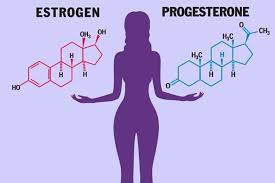 Hormonesinh dục có vai trò quan trọng trong việc cân bằng nội tiết tố